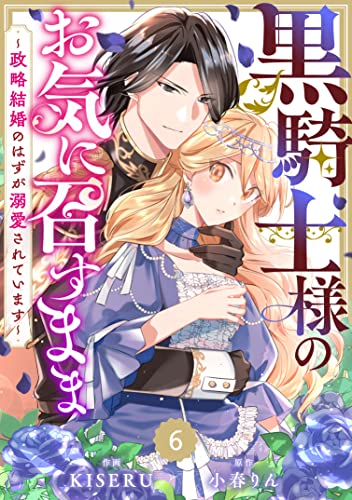 Berry’sFantasy黒騎士様のお気に召すまま～政略結婚のはずが溺愛されています～6巻 (Berry's COMICS)