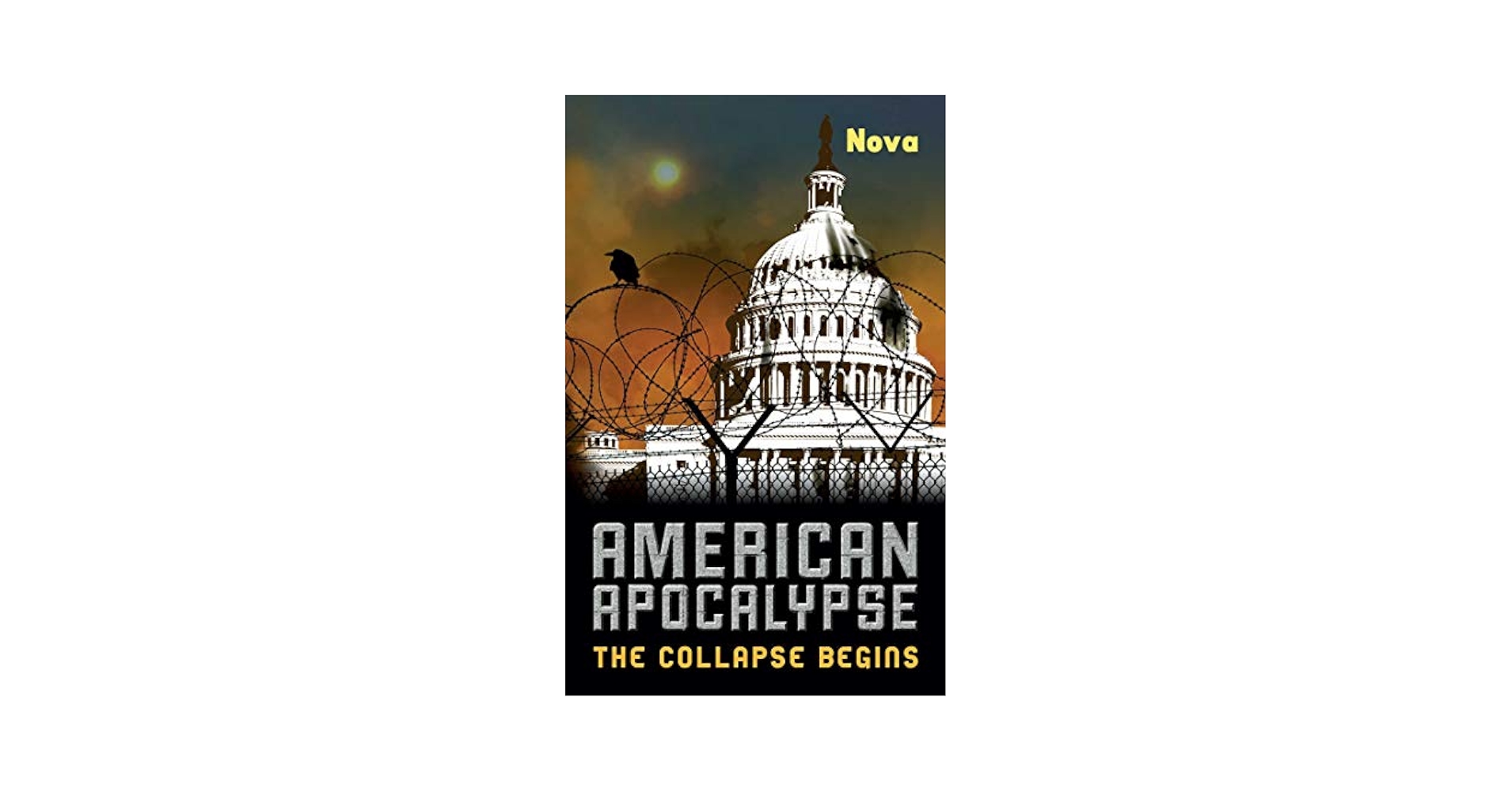 American Apocalypse: The Collapse Begins (9781569759035