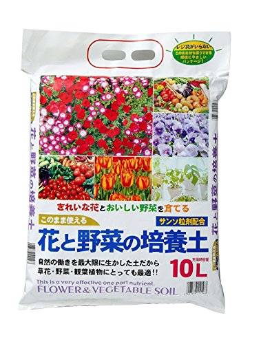 RpȊw ԂƖ؂̔|{y(t) 10L