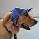 YJZQ Visier für Hunde, Baseballmütze, Hund, Baseball, verstellbar, mit Ohrlöchern, Sonnenhut für große Hunde, Größe L, Kaffeeblau
