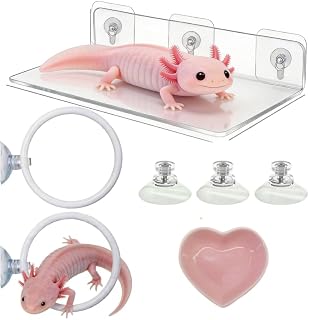 4 Pcs Axolotl Tank Accessories, Hammock with 3 Suction Cup Feeder Bowl 2 Exercise Training Ring Toys, Aquarium Accessories for Tank, Tank Starter Enrichment Kit for Axolotls Aquarium