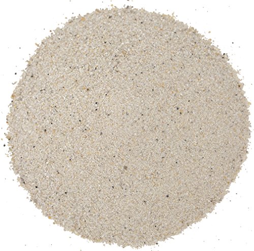 Floragard Rasen-Sand 2x15 kg für 20 m² • Rasenpflege • zum Lüften schwerer Böden • streuwagenfähig • zum Topdressing nach dem Vertikutieren… – Ansicht 3