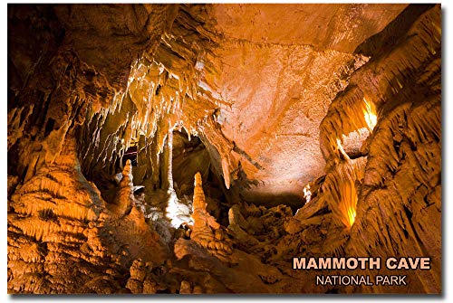 Imán de Refrigerador Paisaje Mammoth Cave 2.5x3.5 pulg