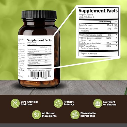 Image of Santa Cruz Paleo Skin & Eye Capsules, Simple Daily Formula for Skin Appearance & Eye Routine, Clean Ingredients, Gluten Free, Keto & Paleo Friendly, 60 Capsules
