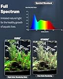 Pawfly B0D5HLD4BX lato 3