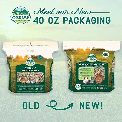 Image of Oxbow Organic Meadow Hay, Rabbit & Guinea Pig Hay, High Fiber, 40 oz | Hand-Sorted, De-Dusted, Oxbow Hay, Organic, Bunny Hay For Rabbits, Guinea Pigs, Bunnies and Chinchillas, Made in USA
