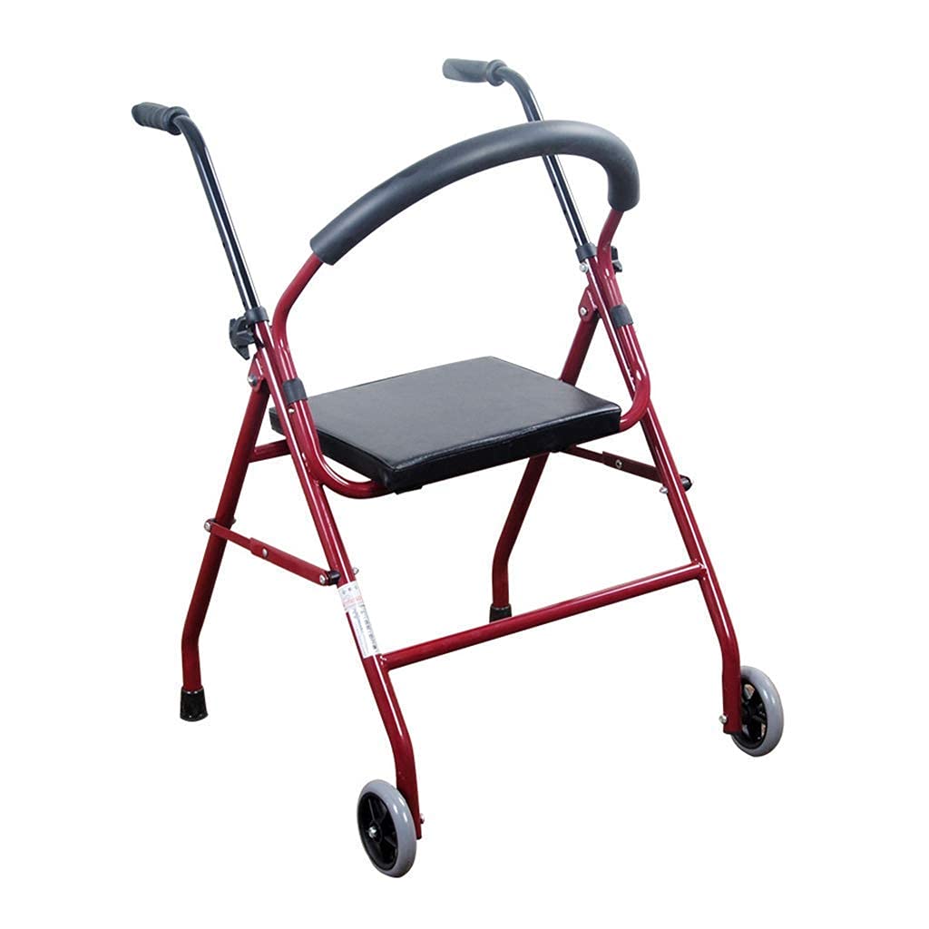 Buy Walkers for seniors, Walking Frames with Wheels With 2 Wheels