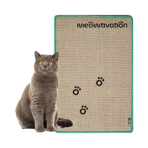 Kratzmatte für Katzen – Hochwertiger Kratzteppich aus Sisal mit Meowtivation-Pfoten, natürliche Kratzbretter, widerstandsfähige Katzenmöbel, multifunktionale Sisalmatte (60 x 40 cm, Grün) Kratzmatte für Katzen – Hochwertiger Kratzteppich aus Sisal mit Meowtivation-Pfoten, natürliche Kratzbretter, widerstandsfähige Katzenmöbel, multifunktionale Sisalmatte (60 x 40 cm, Grün)