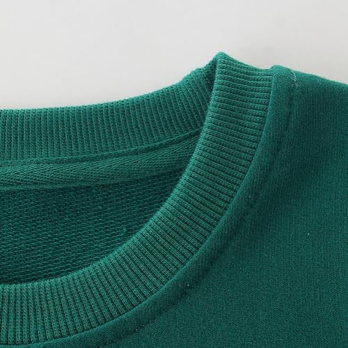 Boys Sweatshirts Long Sleeve Sweatshirts T-shirts Crew Neck Cotton Casual Sweatshirts Cartoon Tops for Boys-993