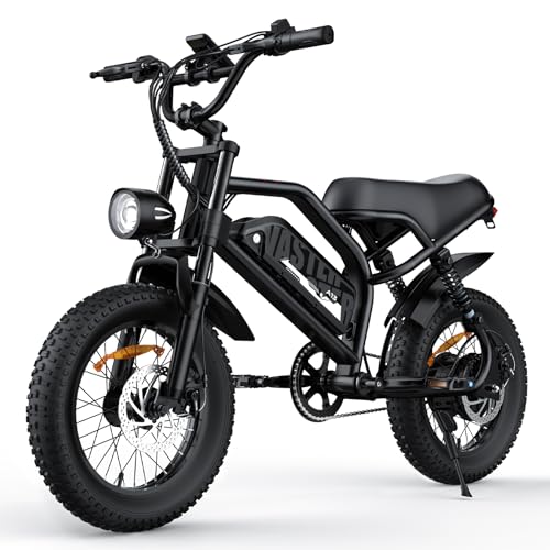 VDL Mountain Electric Bike for Teens/Adults, 16" Fat Tire Ebike, Wider Seat 500W Peak Motor with Removable Battery, 20MPH, UP to 35 Miles Mountain Bike, Teenagers ebike for Leisure Riding&Commuting