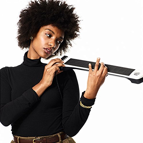 The Artiphon INSTRUMENT 1 (ホワイト) Artiphon ( アーティフォン ) INSTRUMENT 1 (White) 送料無料