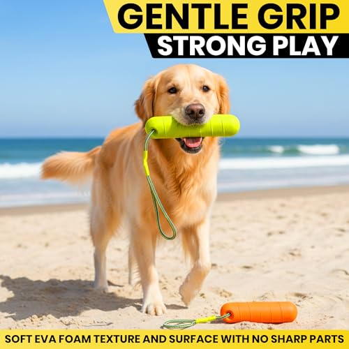 Image of Floating Dog Water Toys - 2 Pack, Bumper Throw Stick for Fetch