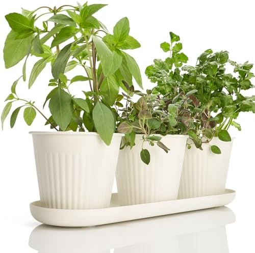 KIBAGA Beautiful Herb Garden Planter Indoor Set of 3 - Perfect fo...