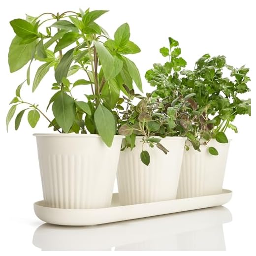 19+ Stylish Butler's Pantry Ideas to Elevate Your Space 4 KIBAGA Beautiful Herb Garden Planter Indoor Set of 3 - Perfect for Any Kitchen Window Sill or Countertop - A Modern Decor Gardening Planter Kit Incl. Tray & Drainage Holes to Grow Fresh Herbs at Home