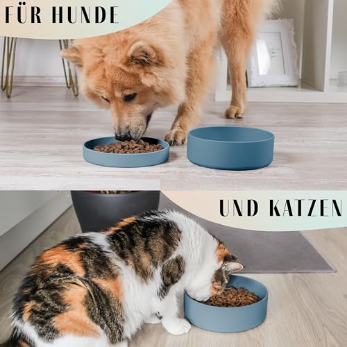 ne&no® Silikon Hundenapf 1200 ml mit Deckel für kleine und mittelgroße Hunde | im Kühlschrank luftdicht verschlossen | Futternapf Hund rutschfest | Fressnapf Hund Set