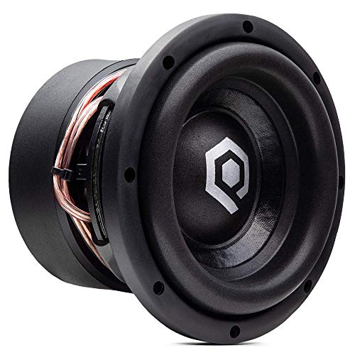 dual 2 ohm 8 inch subwoofer