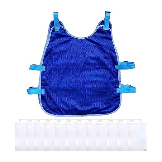 shengyi Chaleco refrigerante, chaqueta de hielo frío, camisa fresca evaporativa de agua, ropa protectora de alta temperatura para deportes y senderismo, Chaleco refrescante + 12 paquetes de hielo, 1