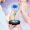 Amazon.com: Childom Birthday Gifts for Women,Christmas Rose Gifts for ...