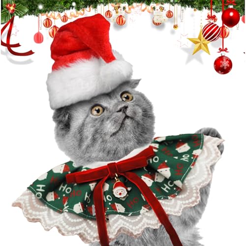 NX}Xo_iAo_iNX}X - \tgNX}Xo_i߉\Ȍ悾ꂩ,킢ybg XJ[t o[Vu ʋC ybg ANZT[ qL & p