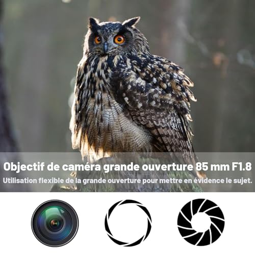 Objectif portrait 85mm f1.8 manuel lentilles monture E Sony Alpha NEX - 6