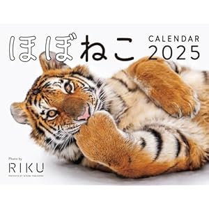 な*な様 虎 トラ 猫 残響 ムラサキ 原画 1点物 (2024年11月) あなたはどっち派? スマトラトラとキジトラ (虎と猫)｜はなち みつき