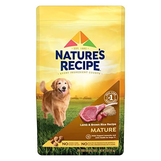 Nature′s Recipe Mature Lamb & Brown Rice Recipe Dry Dog Food, 4 lb. Bag