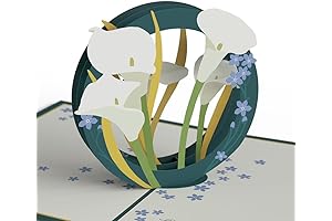 Lovepop With Deepest Sympathy Pop-Up Card