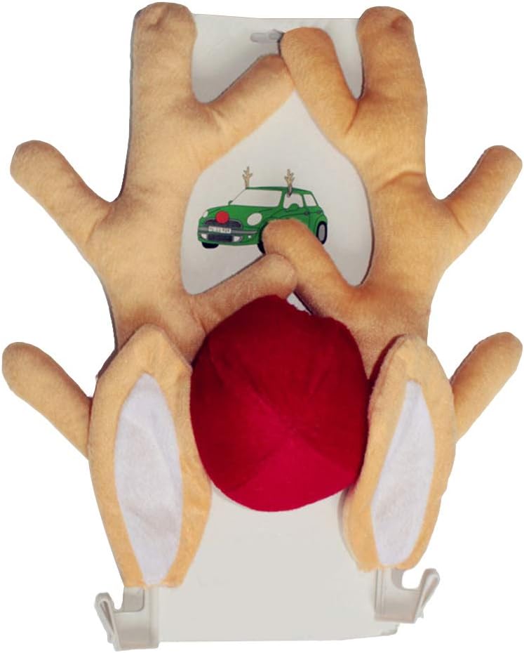 decorazioni natalizie per auto