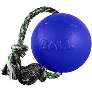 Romp-n-Roll Ball Dog Toy Color: Blueberry, Size: 8" Romp n Roll Ball Dog Toy Color Blueberry Size 8