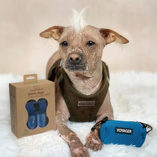 Image of Best Pet Supplies Dog Poop Bags for Waste Refuse Cleanup, Doggy Roll Replacements for Outdoor Puppy Walking and Travel, Leak Proof and Tear Resistant, Thick Plastic - Royal Blue Scented, 240 Bags