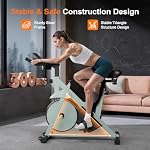 DeerRun Exerciser Vélo, Résistance magnétique réglable Vélo stationnaire intérieur,Fitness Vélo stationnaire Vélo à vélo avec télécommande, Équipement d'exercice pour la maison 300lbs Capacité de poids