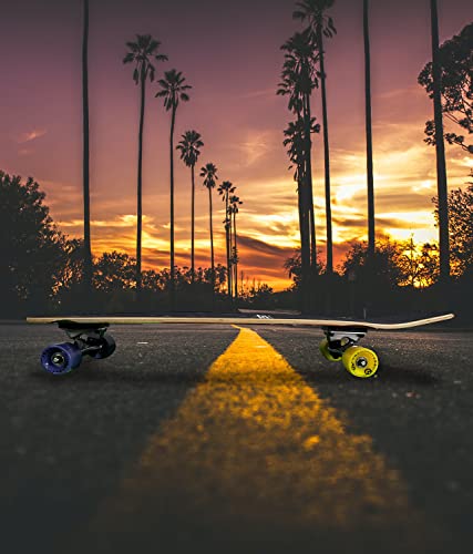 Quest Skateboards - Quest Cruiser Inspiration - Unisex Youth And Adult Complete Cruiser Board Skateboards - Multicolored Deck Design - 7 Layers Of Russian Maple Deck Construction - (33 Inches) #TOP4