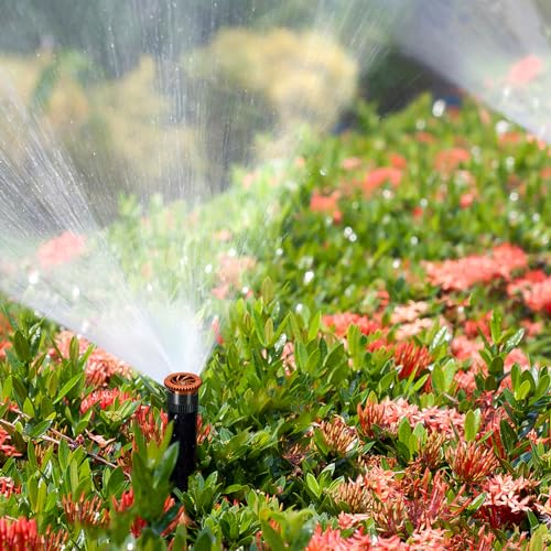 HolyMaji 10 Pieces Variable Arc Nozzle, Replacement Pop-up Sprinkler Heads Compatible with Most of Adjustable Pop Up Sprinkler Spray Head for Garden Lawn Irrigation (8AN)
