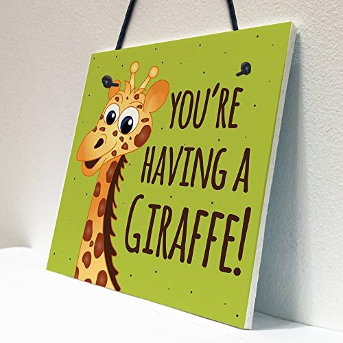 RED OCEAN You're Having A Giraffe Hanging Plaque Funny Friendship Gifts Birthday Best Friend Sign