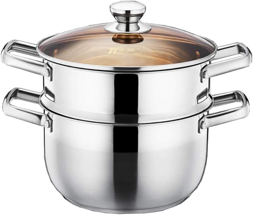 FAINLIST Food Steamer, Stainless Steel Vegetable Steamer With Glass Lid, 2 Tier Steamer Pot With Strong Riveted Handles, Idli Modak Momo Steamer With Strong Handles, 22cm Steamer for Cooking.