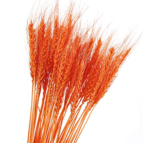 HuahengPlants Simulation Dried Flowers Bouquets Home Art Decoration Living Room DIY Kitchen Table Decor