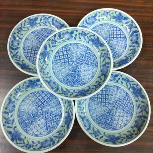 ԕƊ􉽊w͗l̎M5 M aH