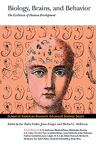 Biology, Brains, and Behavior : The Evolution of Human Development (Advanced Seminar Series, The School of American Research Press)