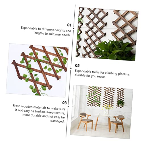 Treillis de jardin extensible support plantes grimpantes et concombres marron