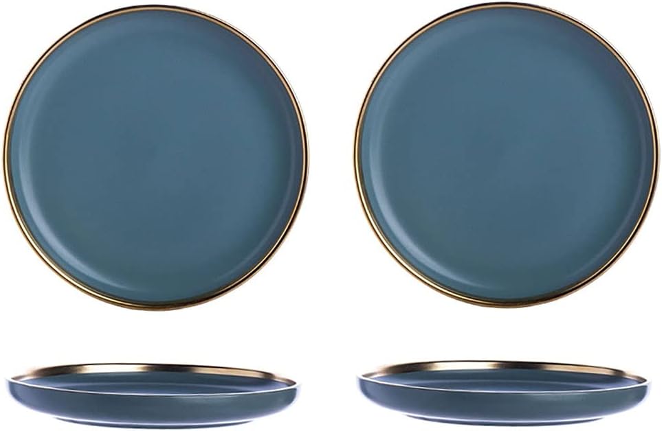 Beautiful Ceramic round Matte Dessert Plates for Steak Salad Pasta Set of 2 Restaurant Family Dinner and Party Dishes Dessert Plates/Blue/10Inch 2Pack