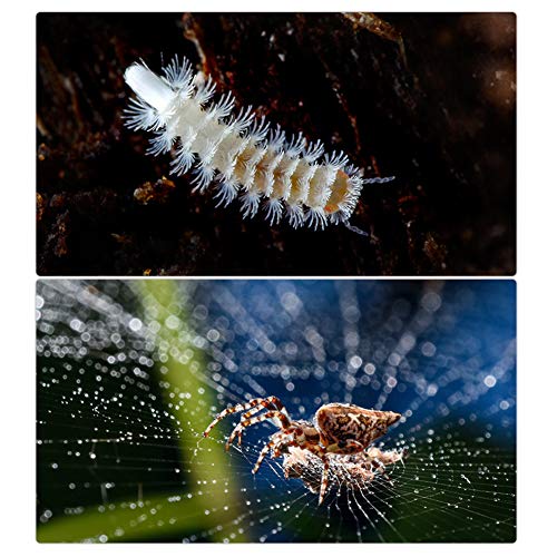 SLR Macro Camera Lens 20mm F2 Aluminium Zwart Groot Diafragma Handmatige Scherpstelling Super Macro Lens voor Canon EF… - Afbeelding 7