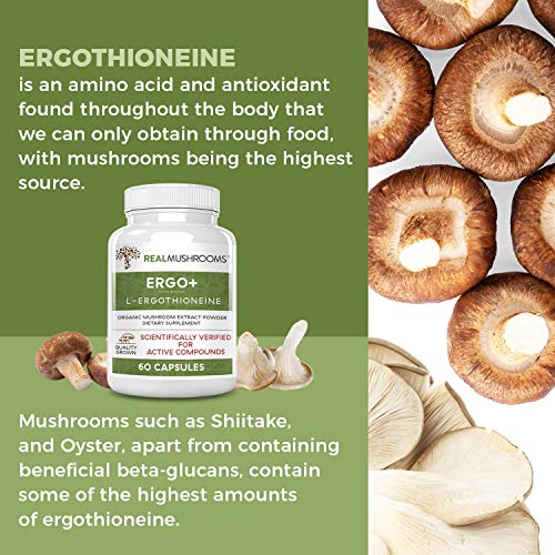 Real Mushrooms Ergothioneine (60Ct) And 5 Defenders (200Ct) Bundle - With Turkey Tail, Shiitake, Reishi, Chaga, Maitake, Oyster - Natural Longevity And Immune Strength - Vegan, Gluten Free, Non-Gmo #TOP3
