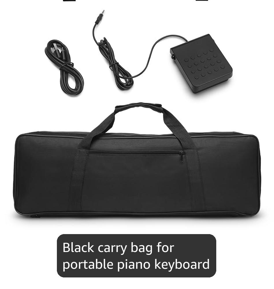 Donner DP-10 Portable Piano Keyboard 88 Keys for Beginner, Bluetooth Foldable Piano Keyboard with 128 Rhythms&Tones, Chord, Record, Drum Kit, Folding Digital Piano Bundle with Pedal, Piano Bag, Black
