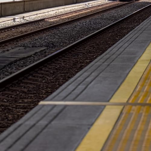 Philly officer rescues dog from West Philly subway tracks Podcast Por arte de portada