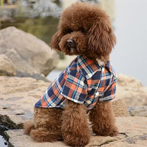 Maibar Dog Orange Fashionable T-Shirt Clothes Pets Supplies Casual Plaid Shirt Small Size for Teddy (S, Orange) Cover