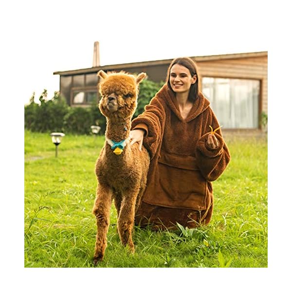 Übergroßes Kapuzen-Sweatshirt mit großen Taschen, bequeme Sherpa-Decke, Sweatshirt für Erwachsene, Männer, Frauen, super… – Bild 8