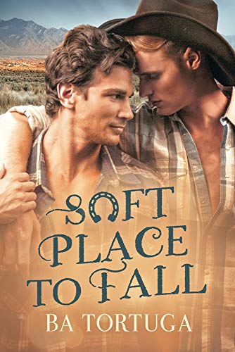 Soft Place to Fall view 2