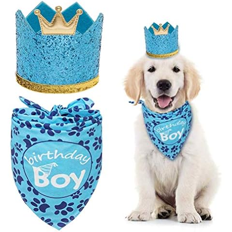 EXPAWLORER Dog Birthday Bandana with Crown Hat - Triangle Scarfs and Cute Party Hat for Pets, Blue Cover