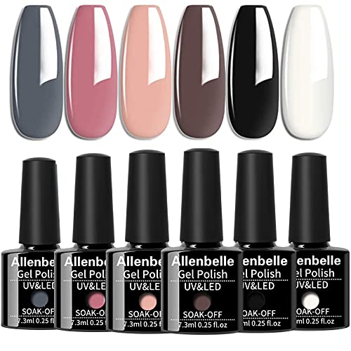 Allenbelle Smalto Semipermante Per Unghie Kit In Gel Uv Led Smalti Semipermanenti Per Unghie Nail Polish UV LED Gel Unghie(Kit di 6 pcs 7.3ML pc) (013)