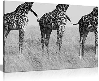 Panther Print Fine Art Prints Black & White African Safari Giraffe Connection Wildlife Artistic Framed Canvas Print, Pictures for Home Walls, Bedroom, Living Room & Bathroom Decor 61x41cm (24x16in)